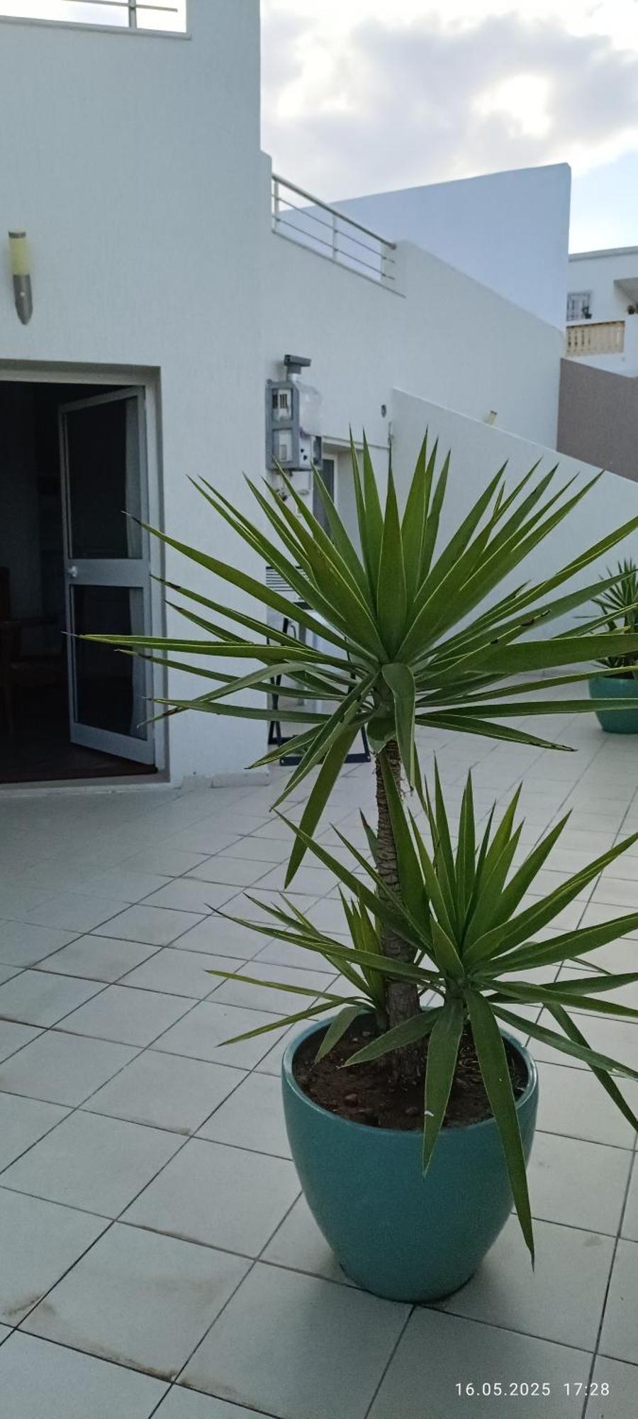 Residence Debbabi Sans Coupure D'Eau Monastir Zimmer foto